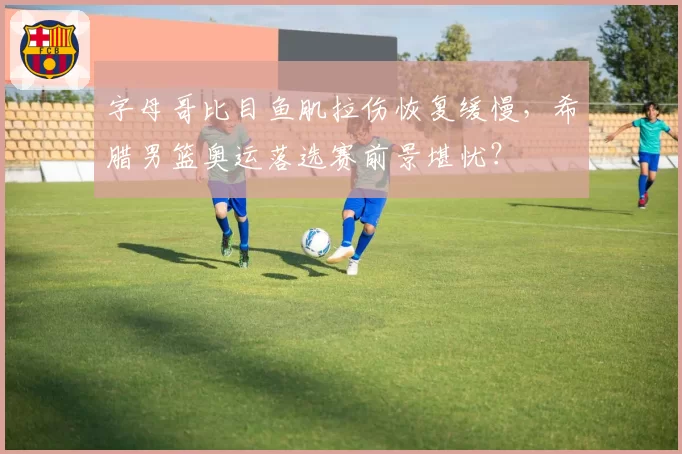 字母哥比目鱼肌拉伤恢复缓慢，希腊男篮奥运落选赛前景堪忧？