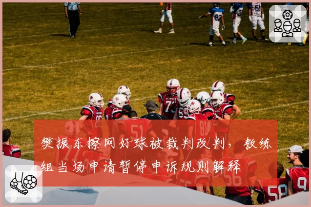 樊振东擦网好球被裁判改判,教练组当场申请暂停申诉规则解释
