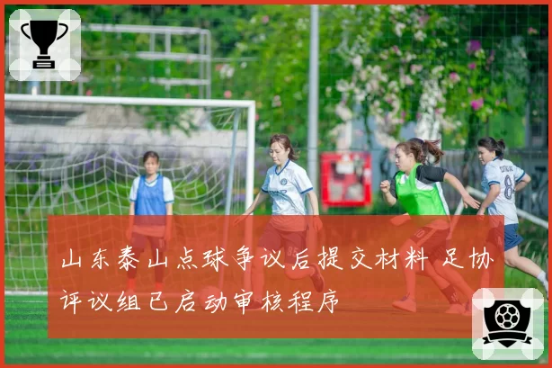 山东泰山点球争议后提交材料 足协评议组已启动审核程序