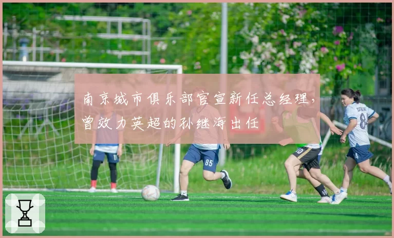 南京城市俱乐部官宣新任总经理，曾效力英超的孙继海出任