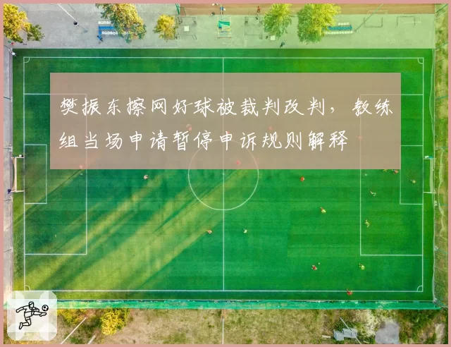 樊振东擦网好球被裁判改判,教练组当场申请暂停申诉规则解释