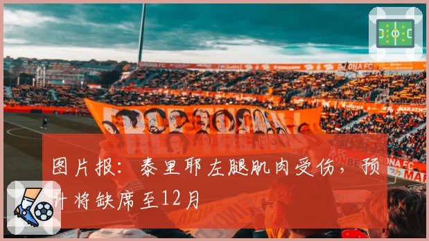 图片报：泰里耶左腿肌肉受伤，预计将缺席至12月
